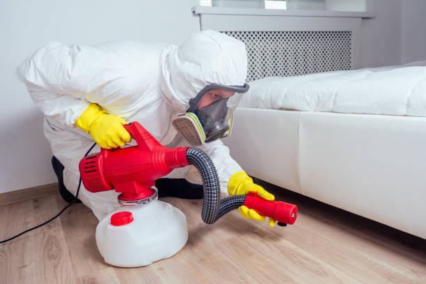 Real Estate Pest Inspections in East Brady, PA